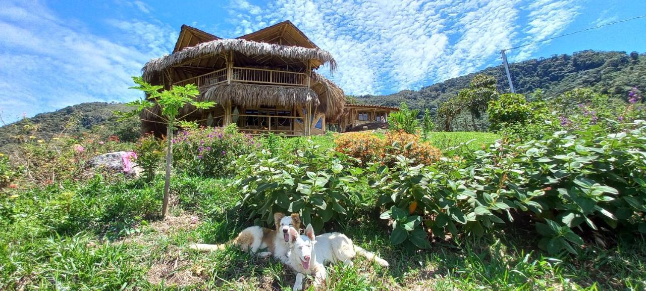 Ecohotel Soplo Del Tambo Cocorná Exteriér fotografie