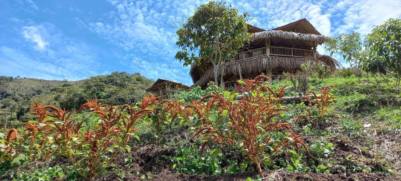 Ecohotel Soplo Del Tambo Cocorná Exteriér fotografie