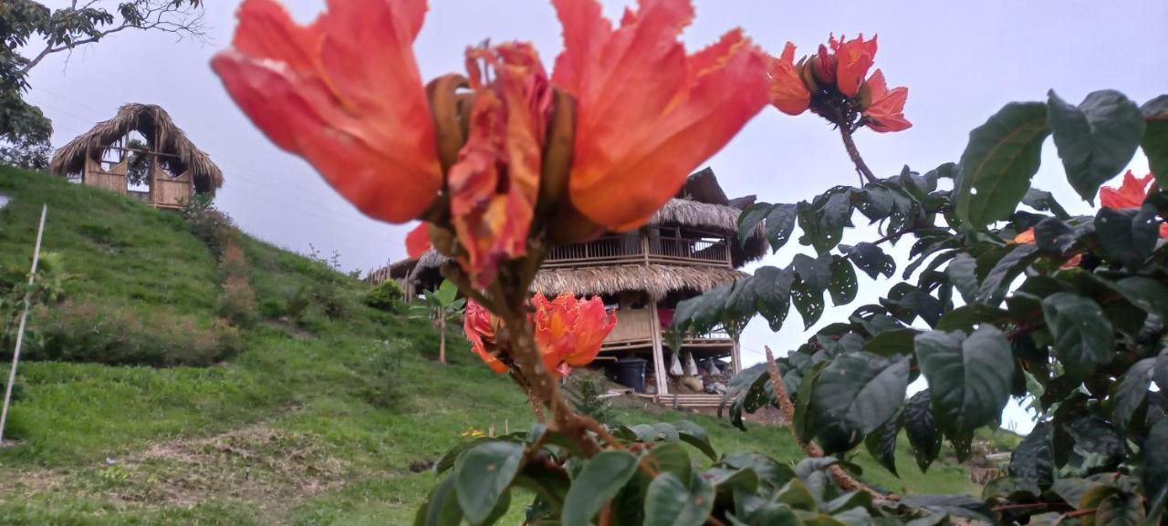 Ecohotel Soplo Del Tambo Cocorná Exteriér fotografie